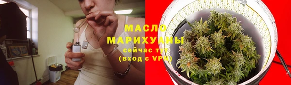 дмт Елизово