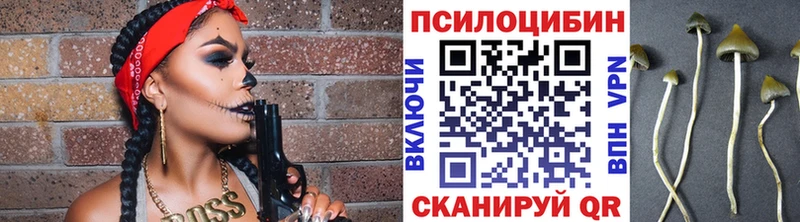 Псилоцибиновые грибы мухоморы  купить  сайты  Светлый 